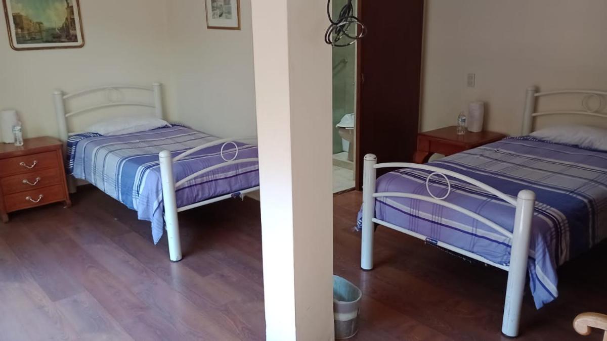 Suites Cuija Coyoacan - Housity