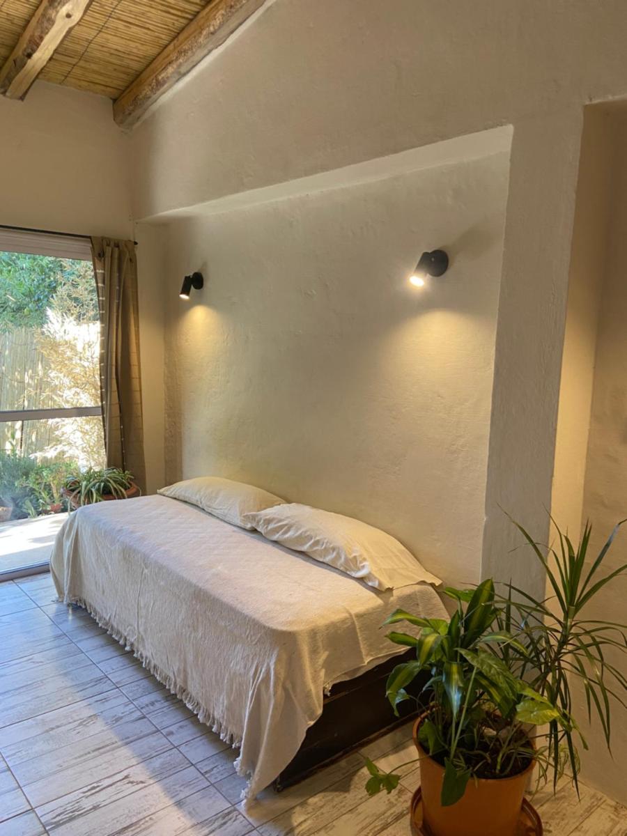 Casa Terra - Housity
