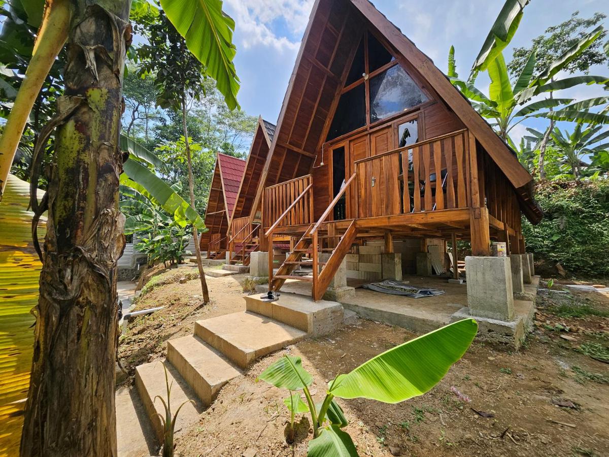 Luxury Wooden House - Housity