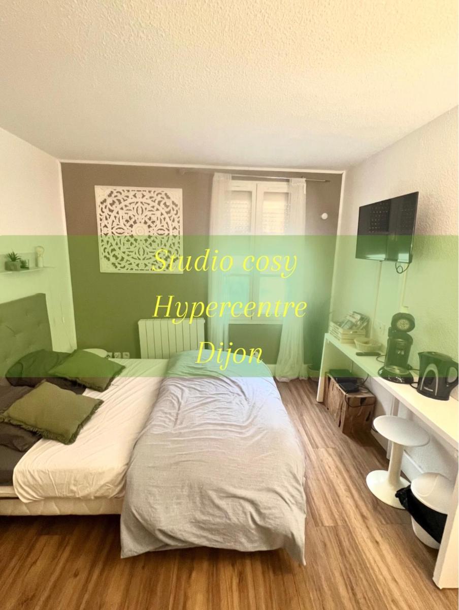 Le Pref' Vert :Studio moderne et cosy centre histo - Housity