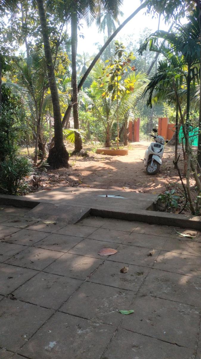 Green House Cottage - Housity