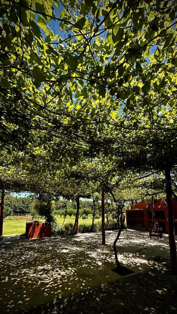 Antigua Bodega - Casa de Campo - Housity