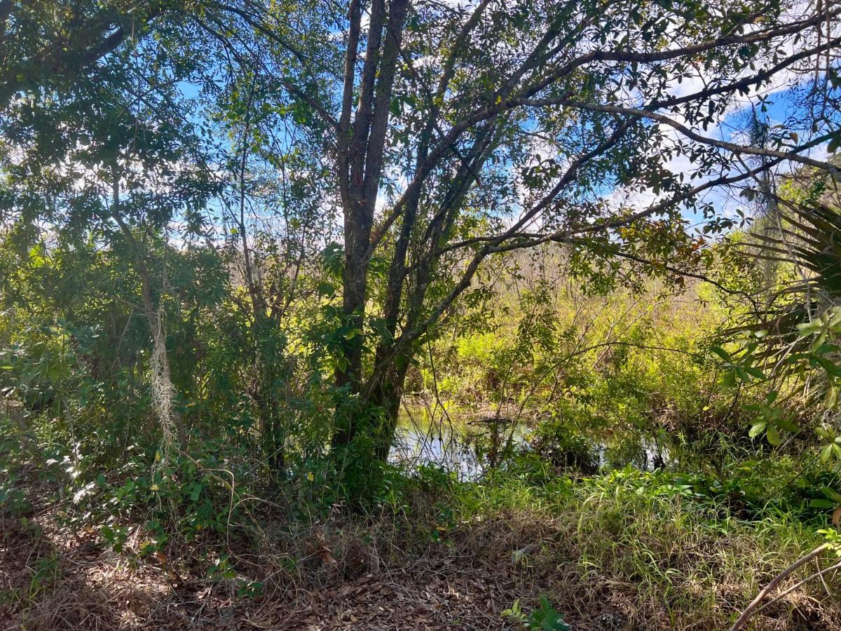 The Lake Alfred Citruswood Cabin - Housity