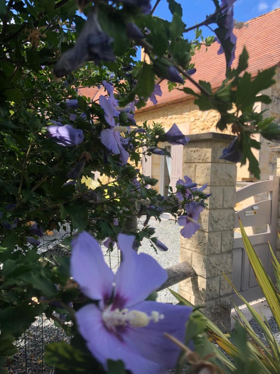 Les 4 Saisons: beau gîte au calme, forêt, proche A89 et Bergerac - Housity