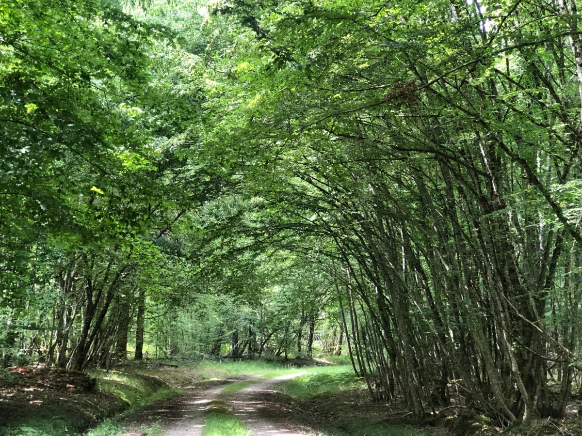 Les 4 Saisons: beau gîte au calme, forêt, proche A89 et Bergerac - Housity