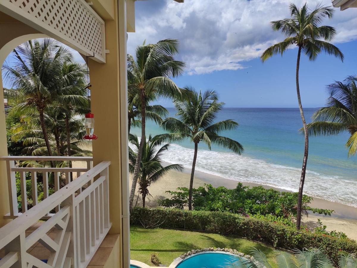 Suitetrails - Queen Angel Suite. Stunning Apartment on Grafton Beach with Direct Beach Access