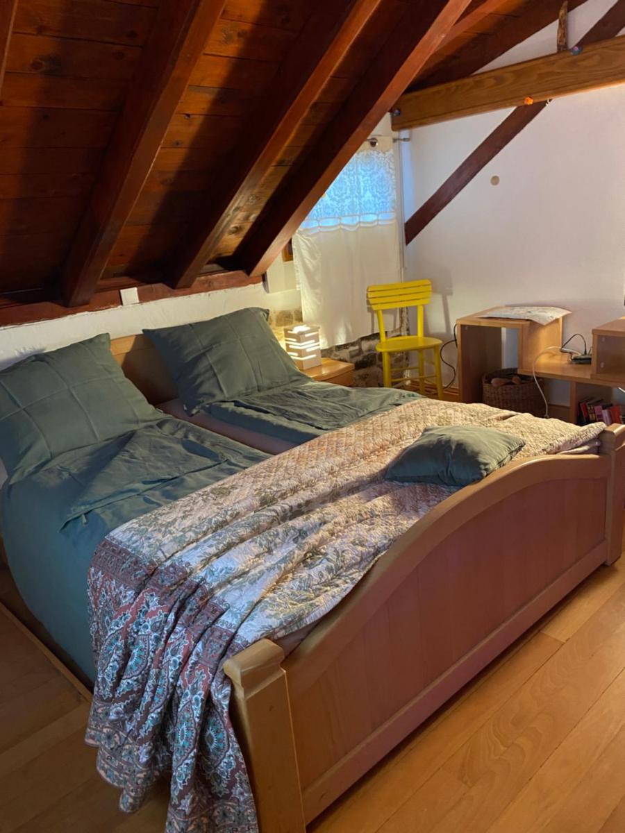 Apartments Salvezani - Housity