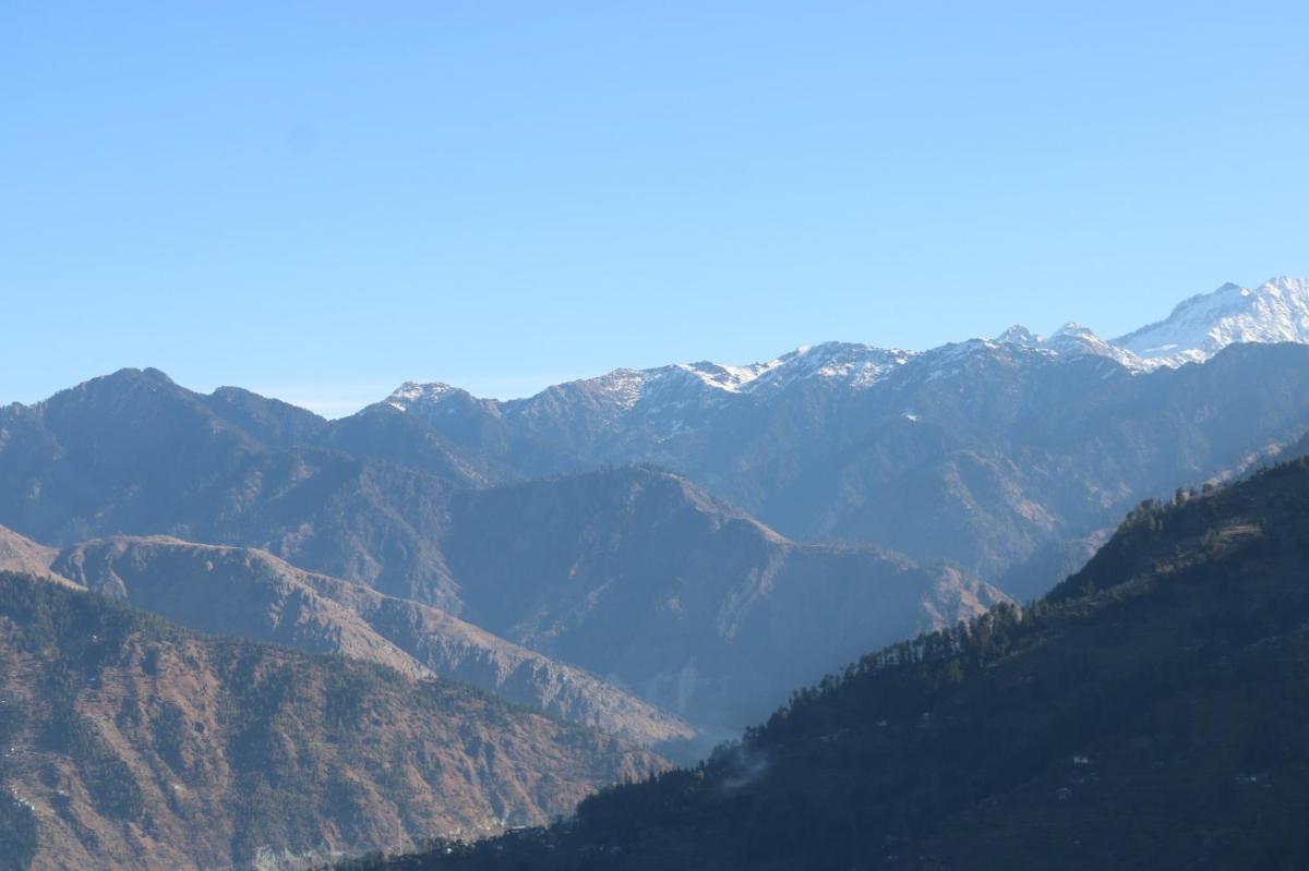 The Himalayan sukoon villa tree House Jibhi - Housity