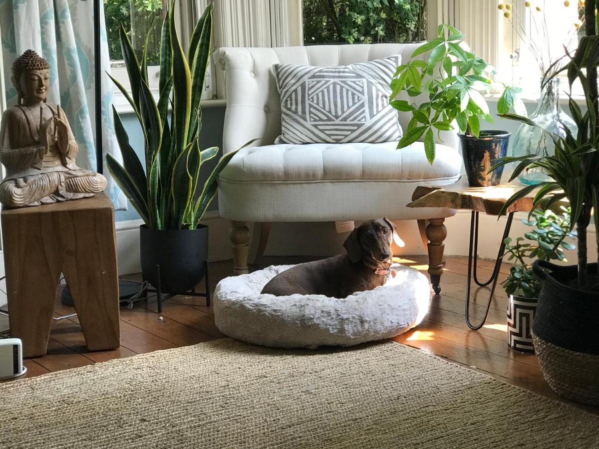 Suitetrails - Dawn and Dudley the Sausage dog's Parkside Home