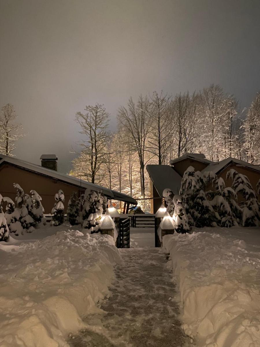 Villa Brezovica - Housity