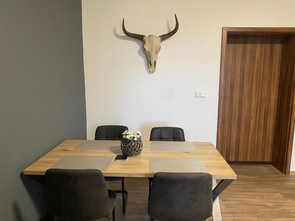 Černý Tulipán - Apartmán 3 - Housity