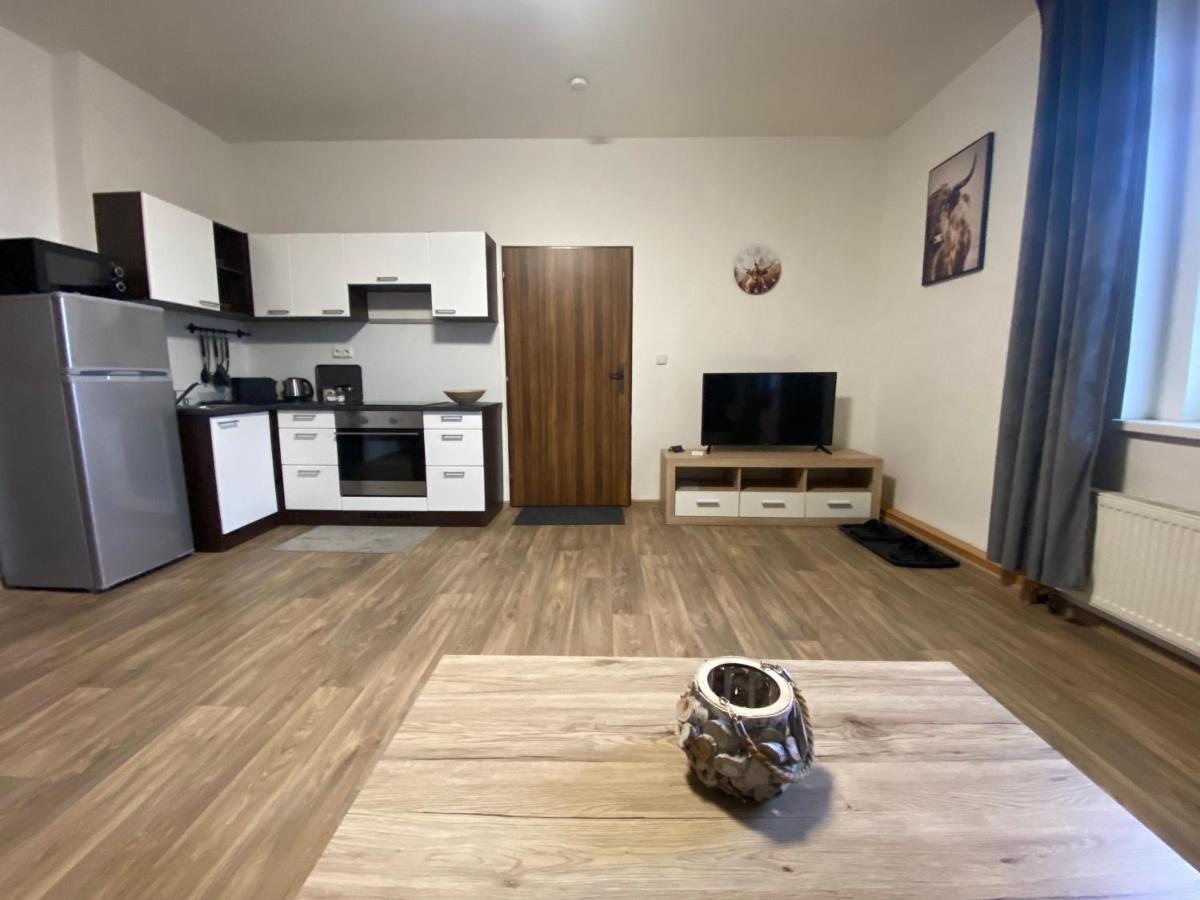 Černý Tulipán - Apartmán 3 - Housity