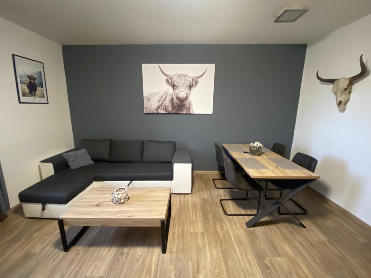 Černý Tulipán - Apartmán 3 - Housity