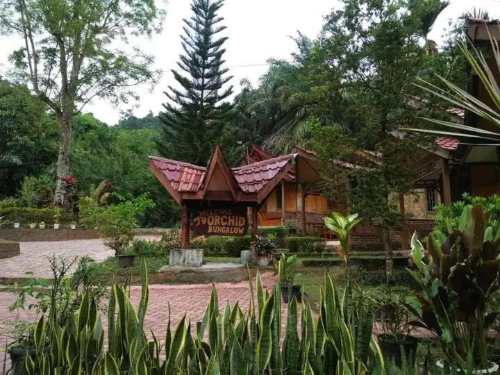 Orchid Bugalows. - Housity