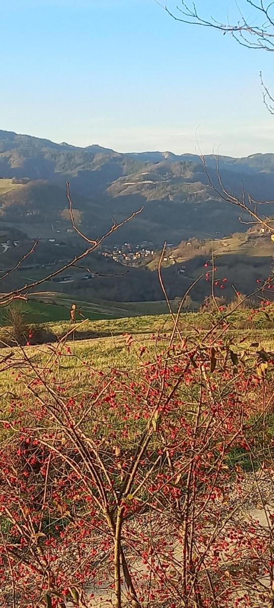 Raggio Campacci di Sacchetti Vanessa - Housity