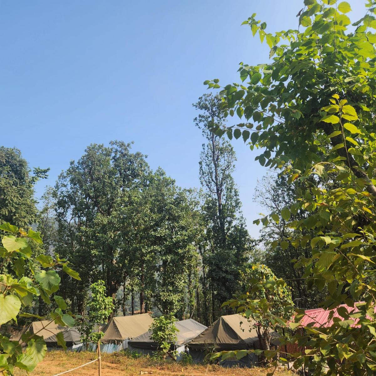 Kanaar Jungle View Resort - Housity