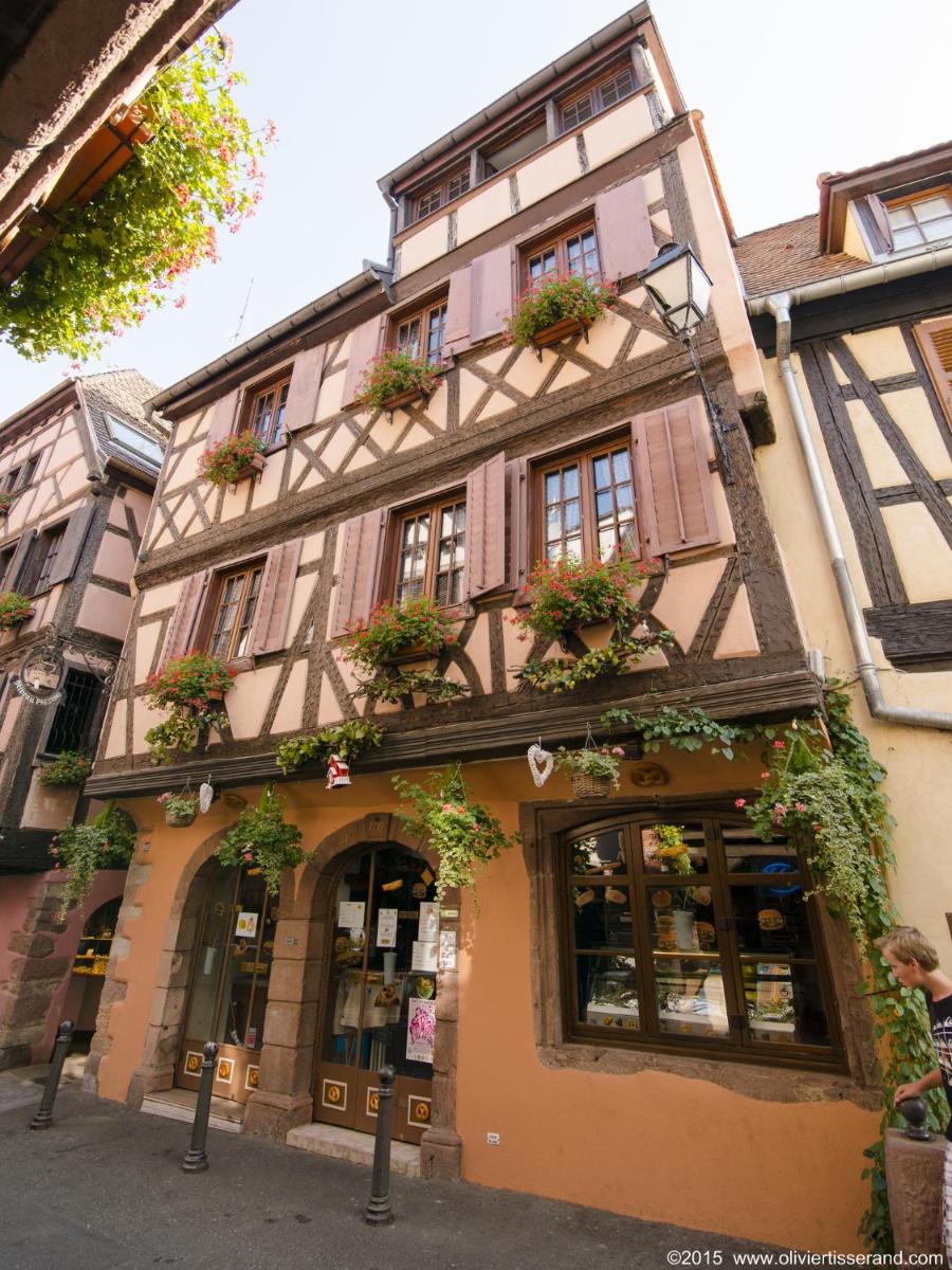 Gîte Au Coeur De Ribeauvillé - Housity