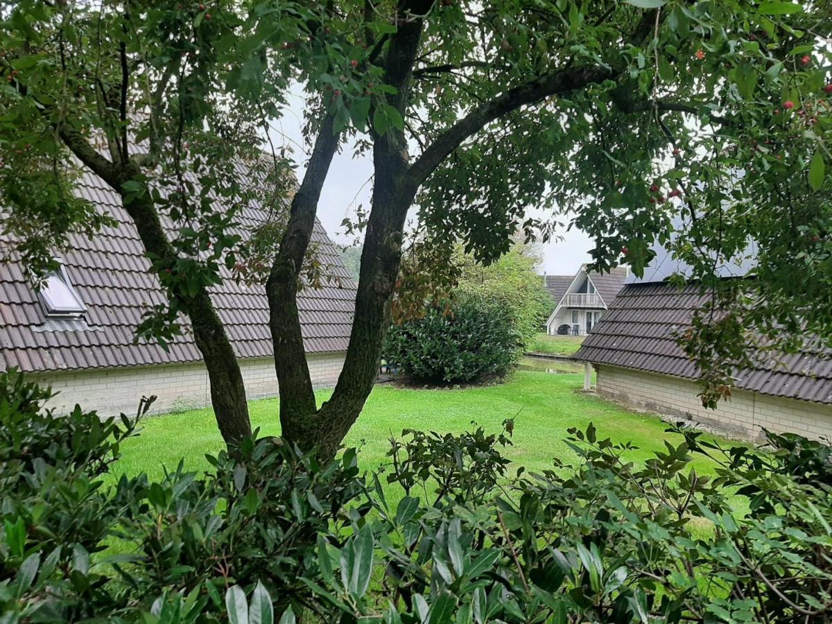 Stijlvol aan de visvijver - Housity