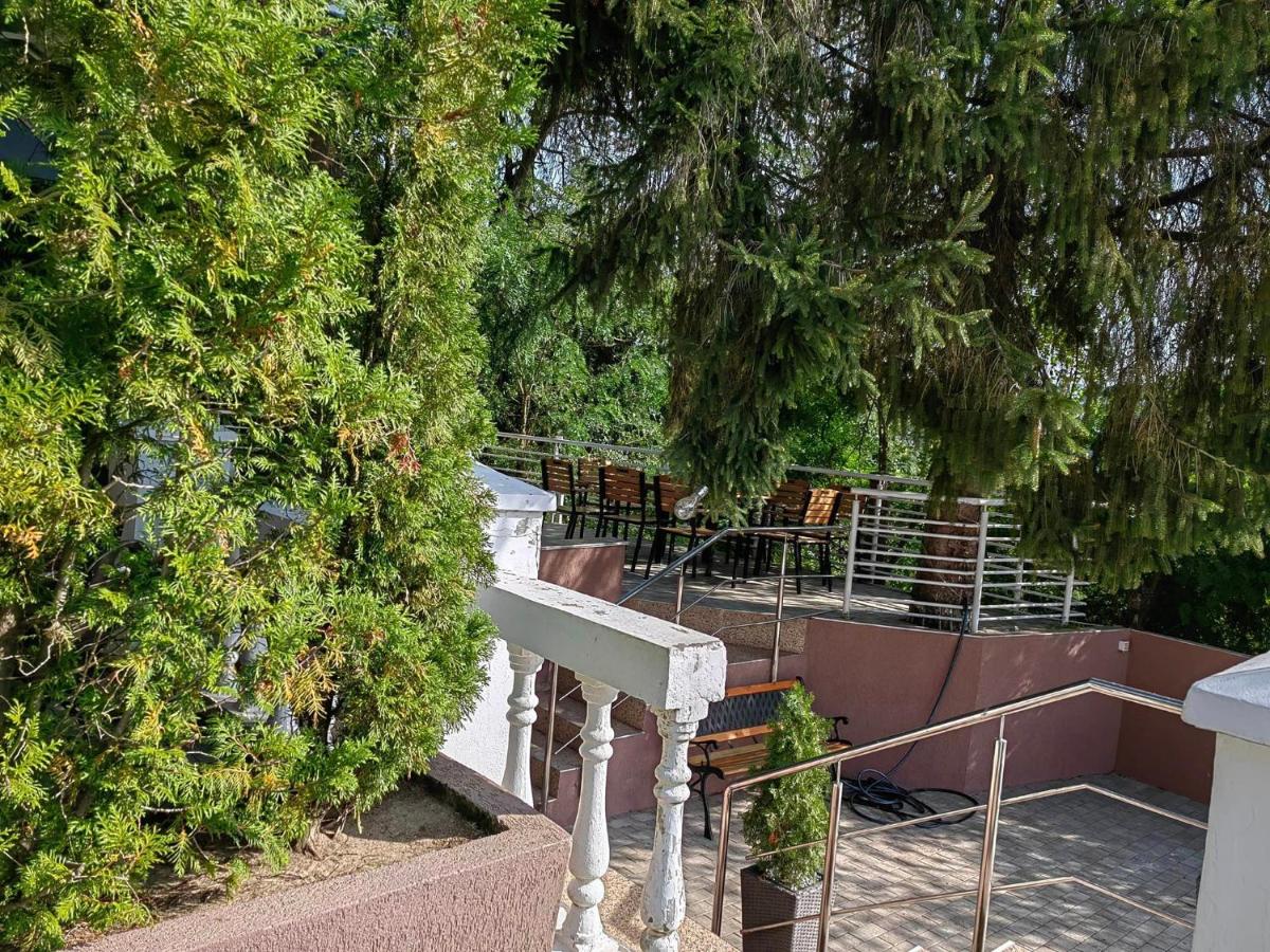 Pensiunea Stejarul - Housity