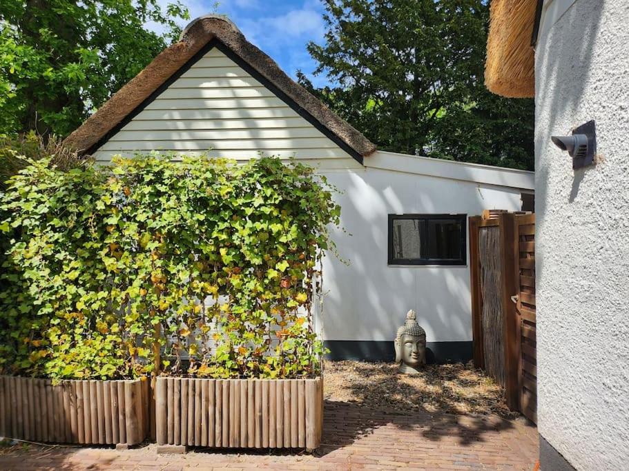 Little Villa Lovely - Housity