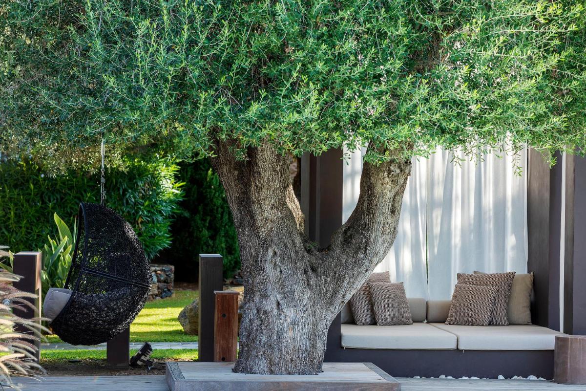 Jardin de l'établissement Hôtel La Dimora & Spa