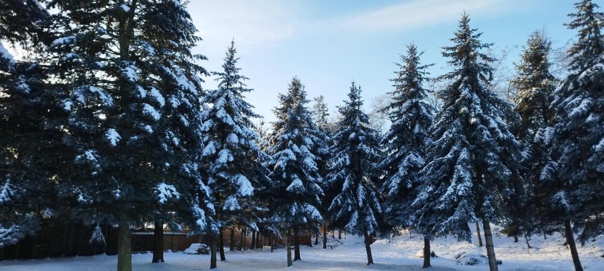 Pokoje Gościnne Impresja Kadzidło - Housity