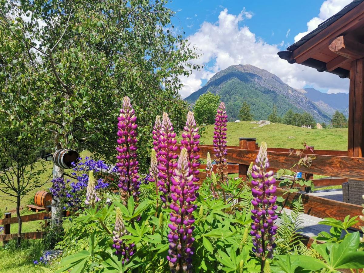 Baita Carnale, Montagna in Valtellina - Housity
