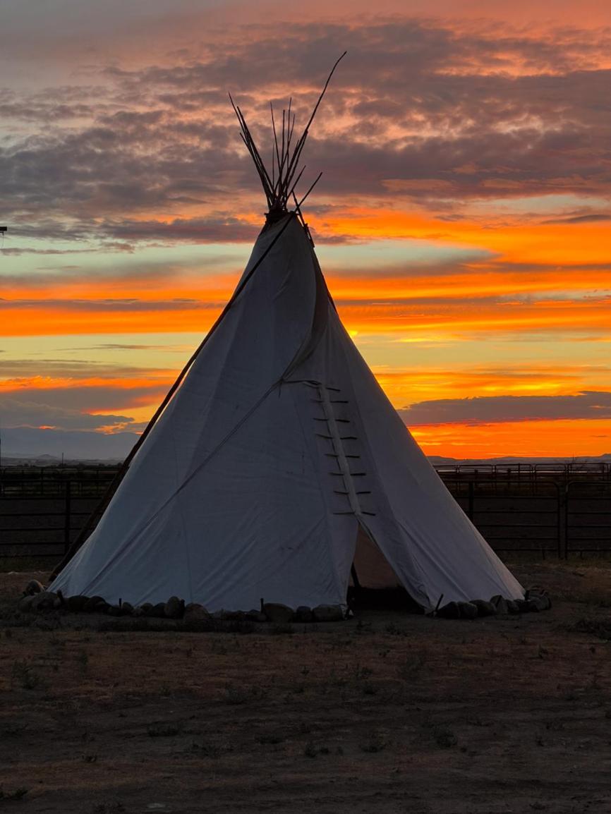 JMA Tipi - Housity