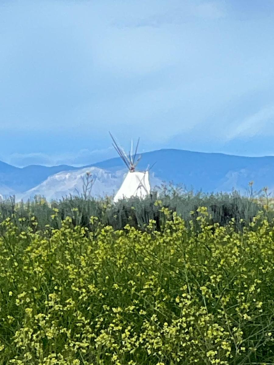JMA Tipi - Housity