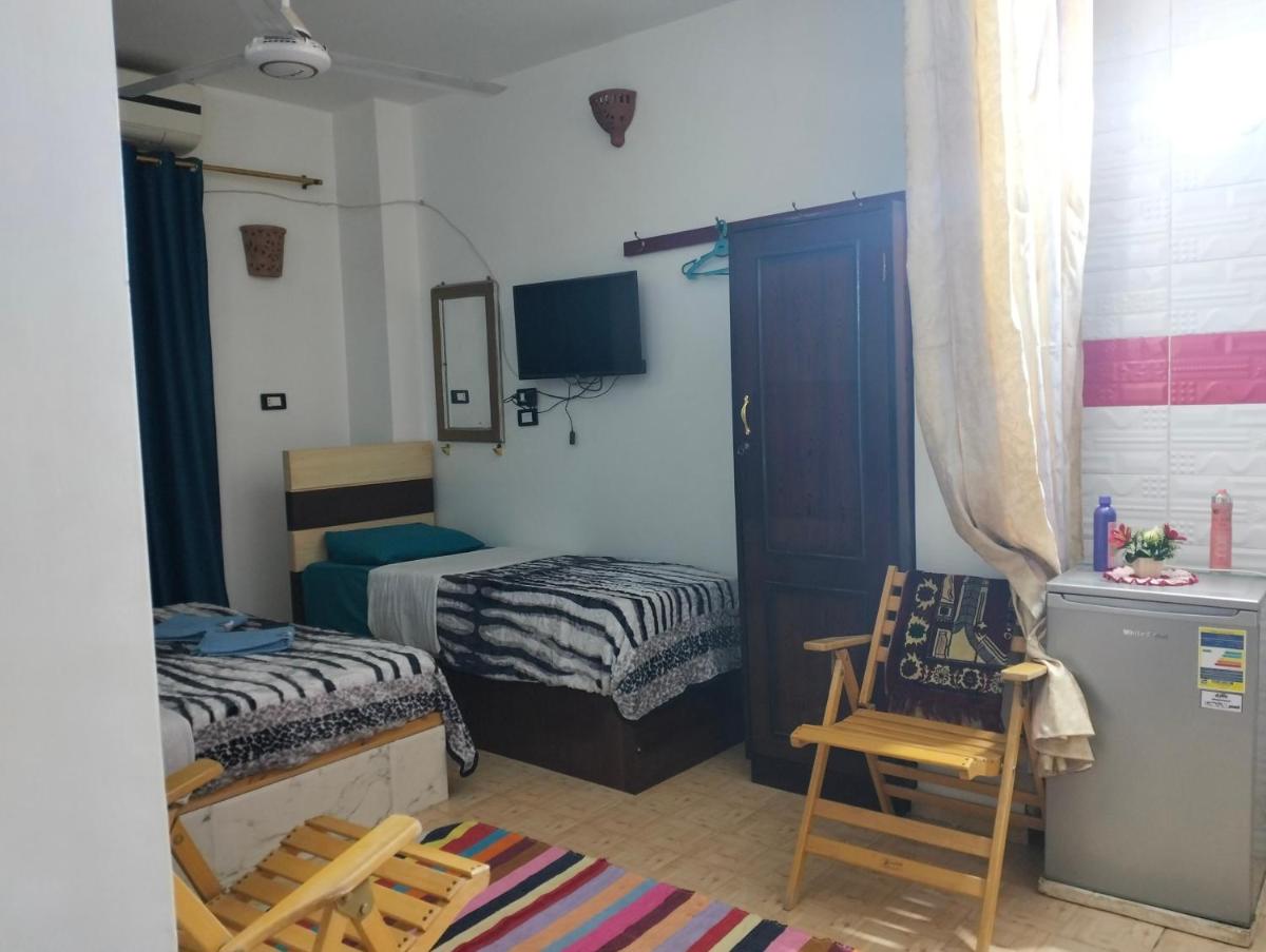 Eka Dolli Elephanten - Housity