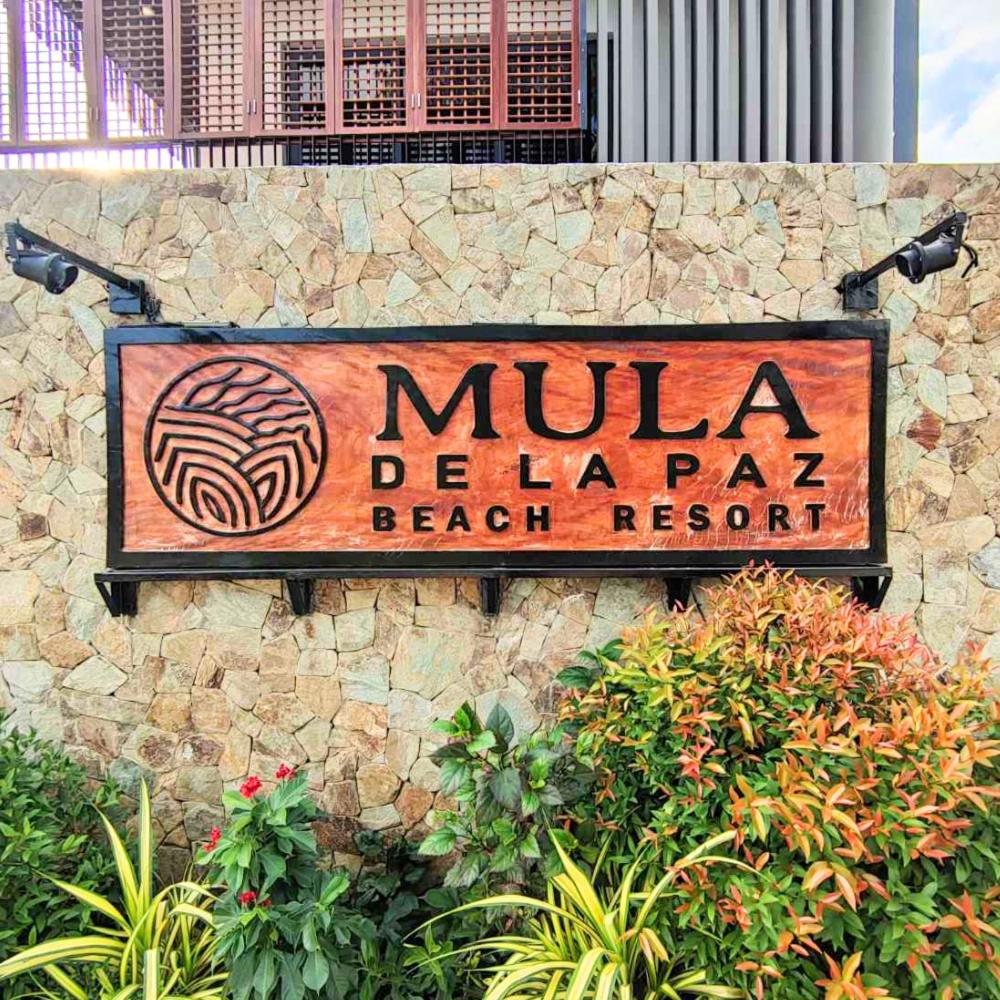 Mula De La Paz - Housity