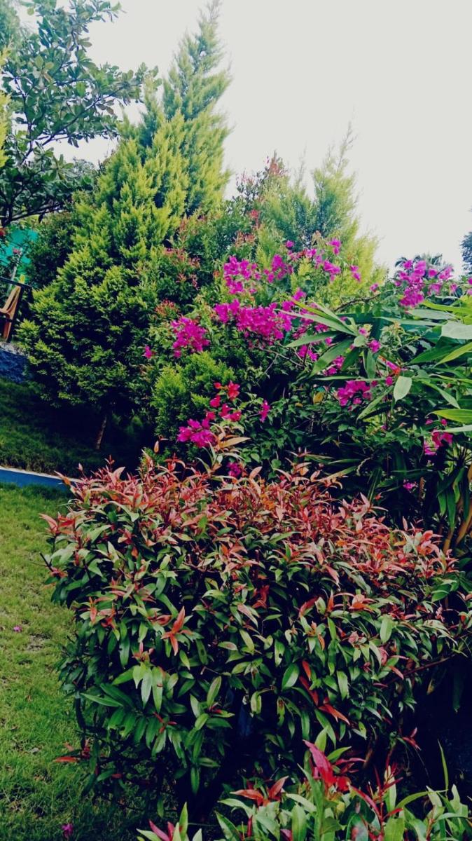 Serene Blossom Valley - Housity
