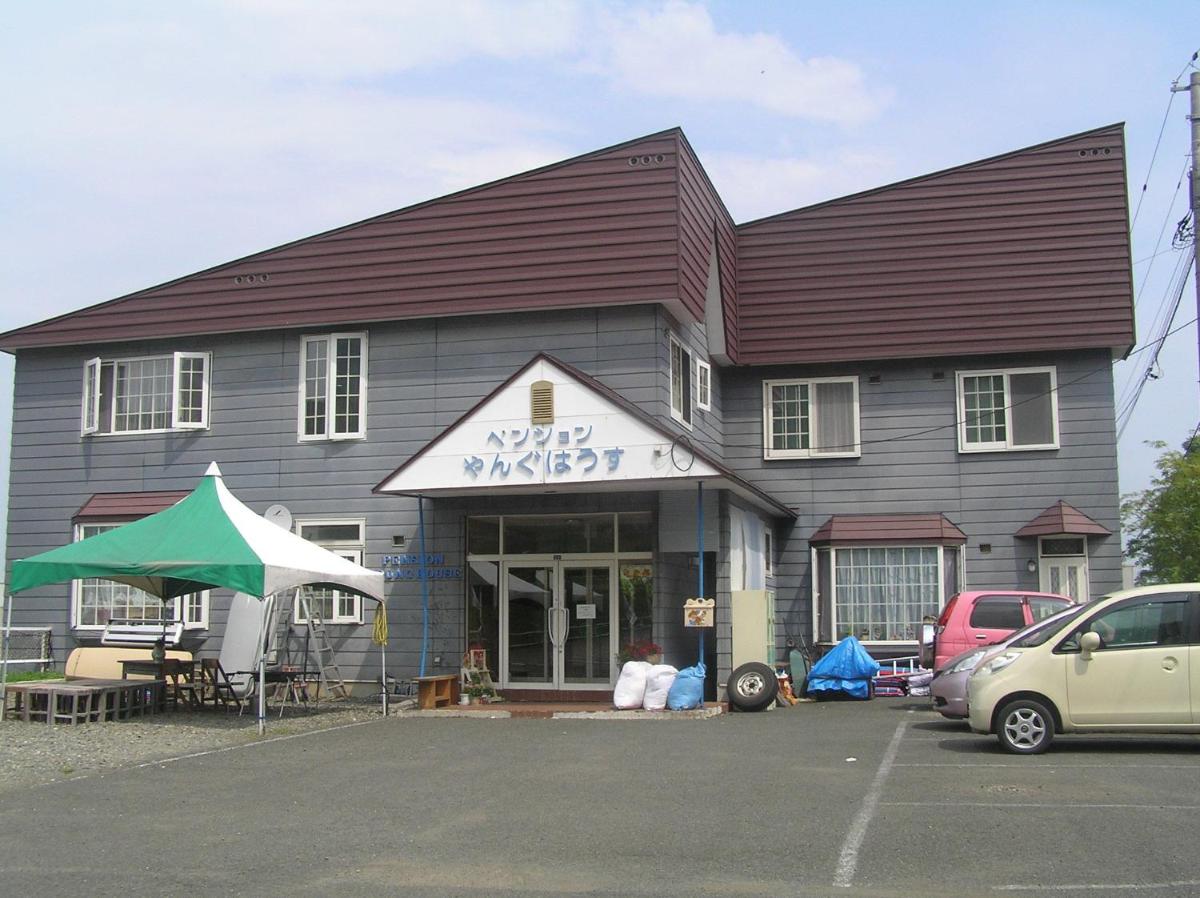 Pension Young House - Housity