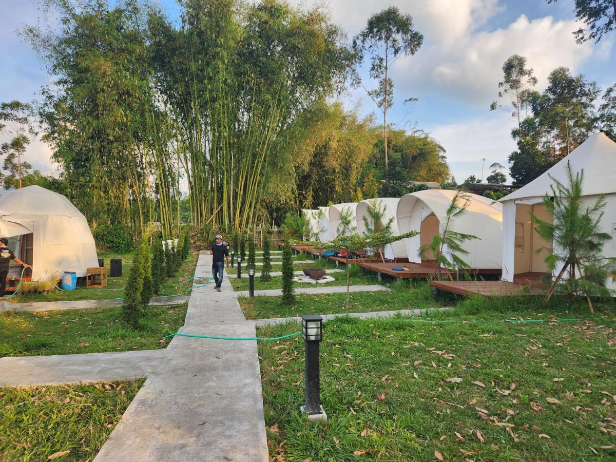 Kayak Glamping - Housity