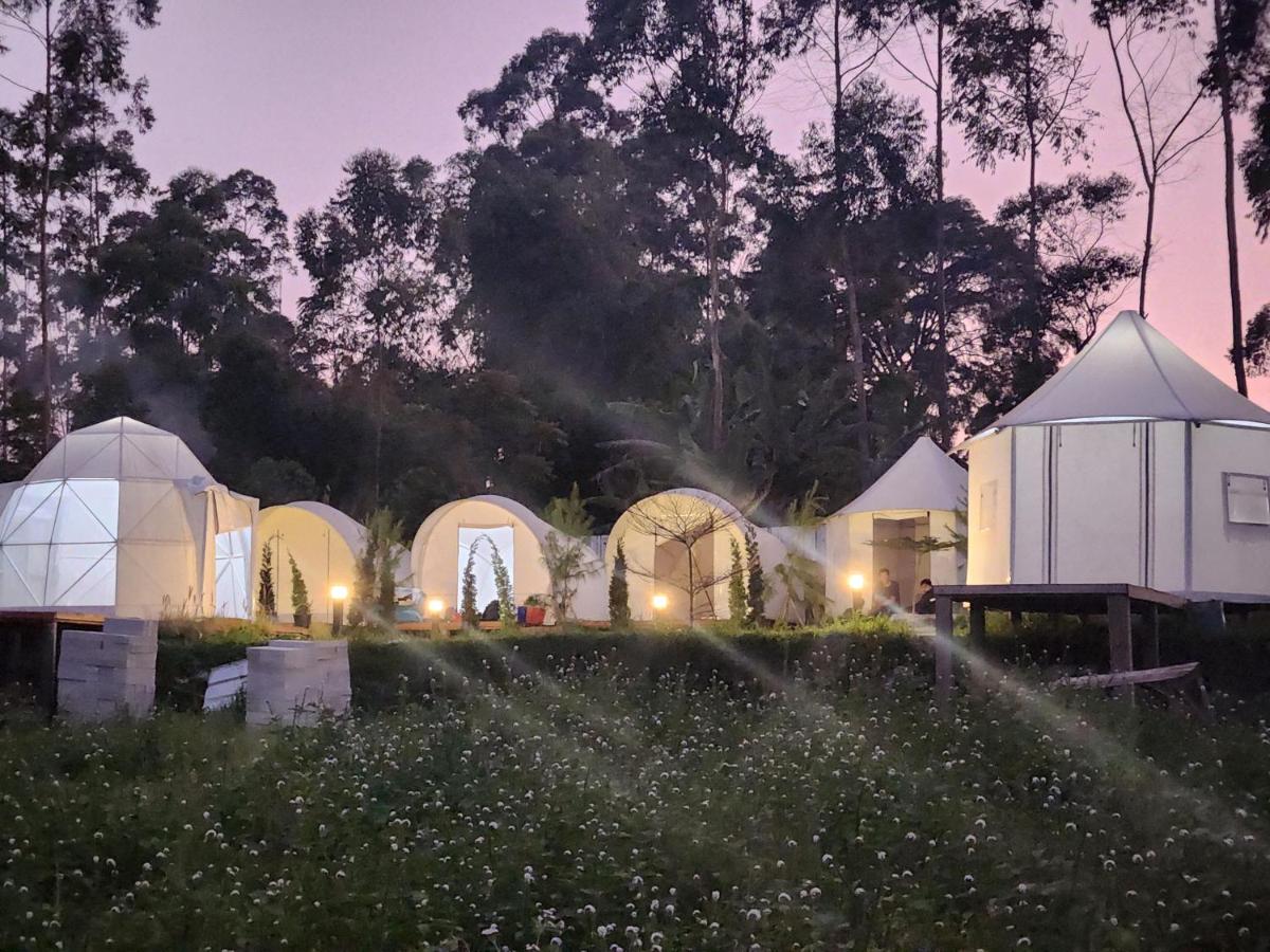 Kayak Glamping - Housity