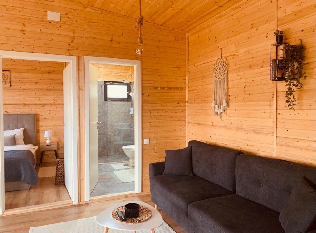 Casutele din Poienita - Housity