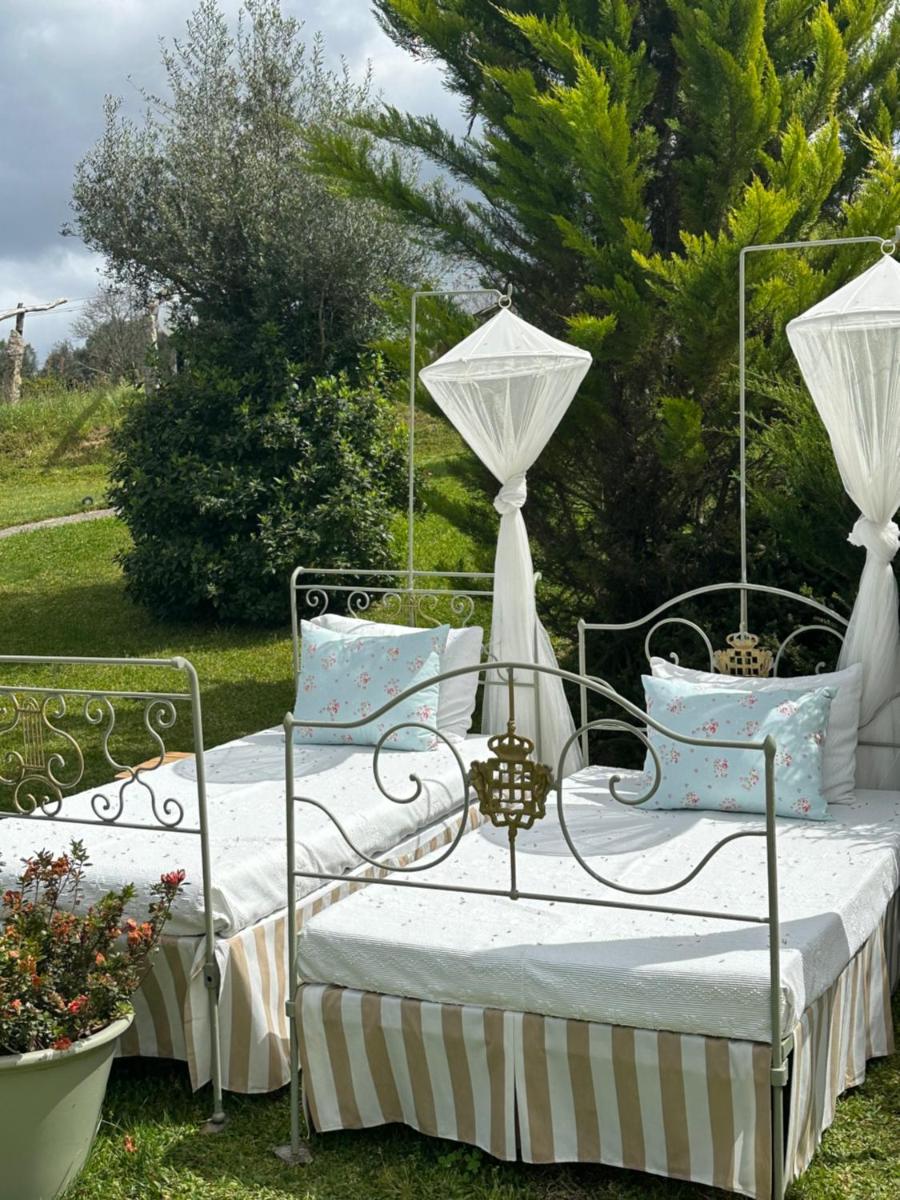Um jardim no exterior de Carmo's Boutique Hotel - Small Luxury Hotels of the World