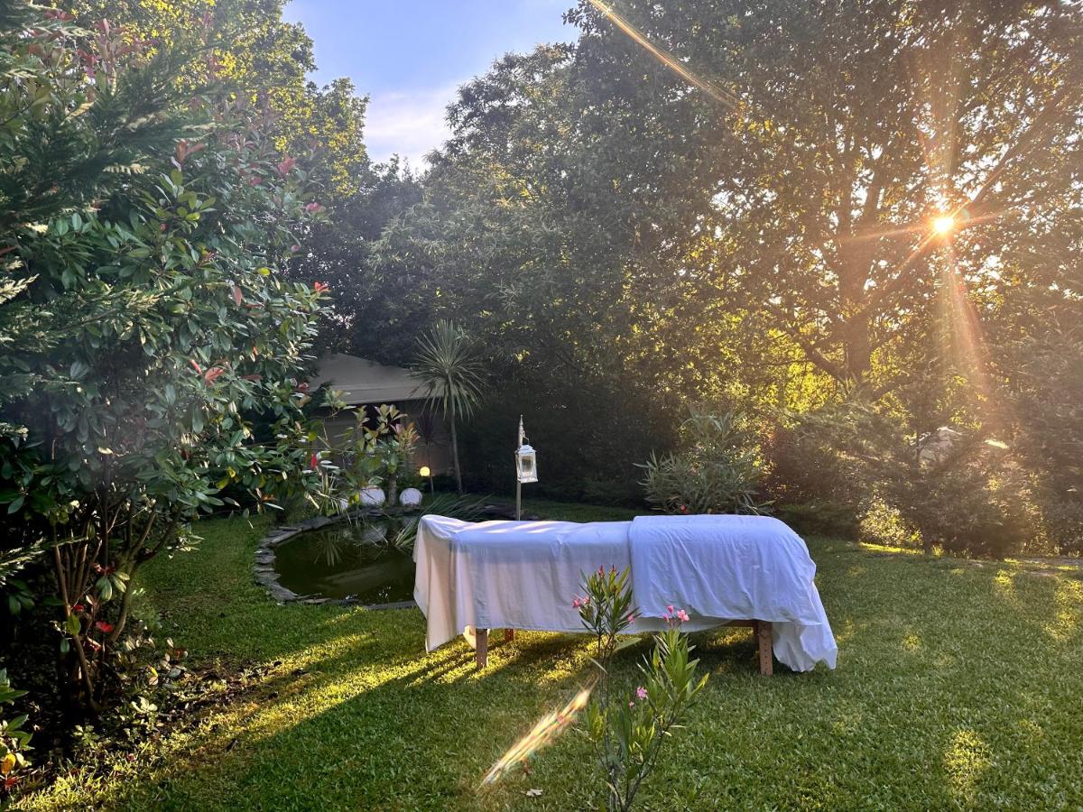 Um jardim no exterior de Carmo's Boutique Hotel - Small Luxury Hotels of the World