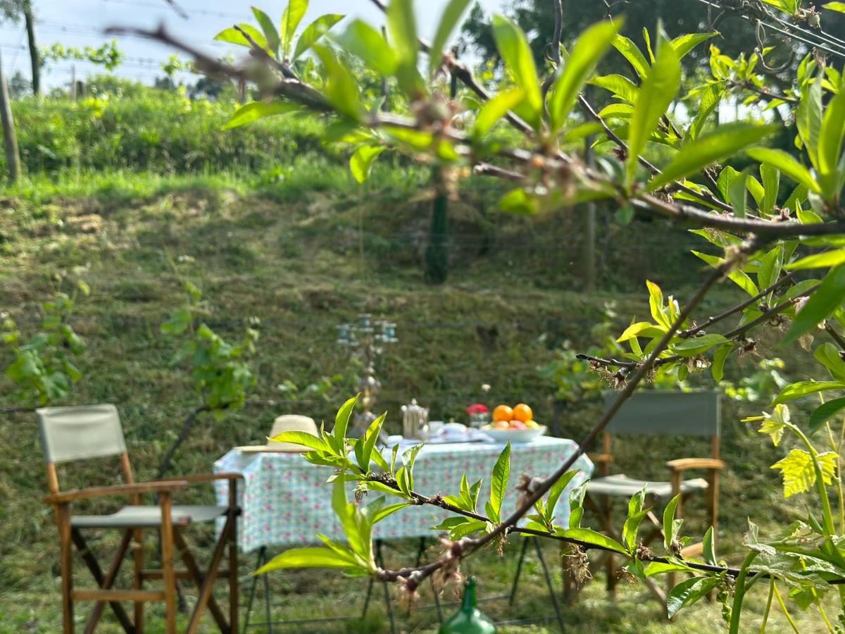 Um jardim no exterior de Carmo's Boutique Hotel - Small Luxury Hotels of the World