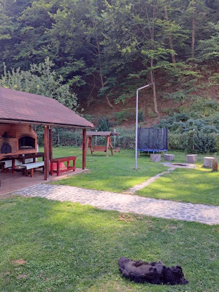 LIVADA AMELY - Housity
