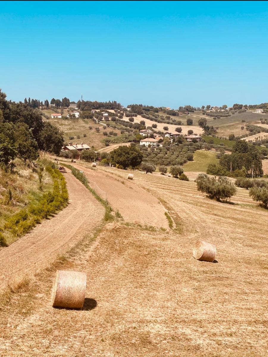 Casavacanze Valleverde a Mosciano Sant'Angelo - Housity