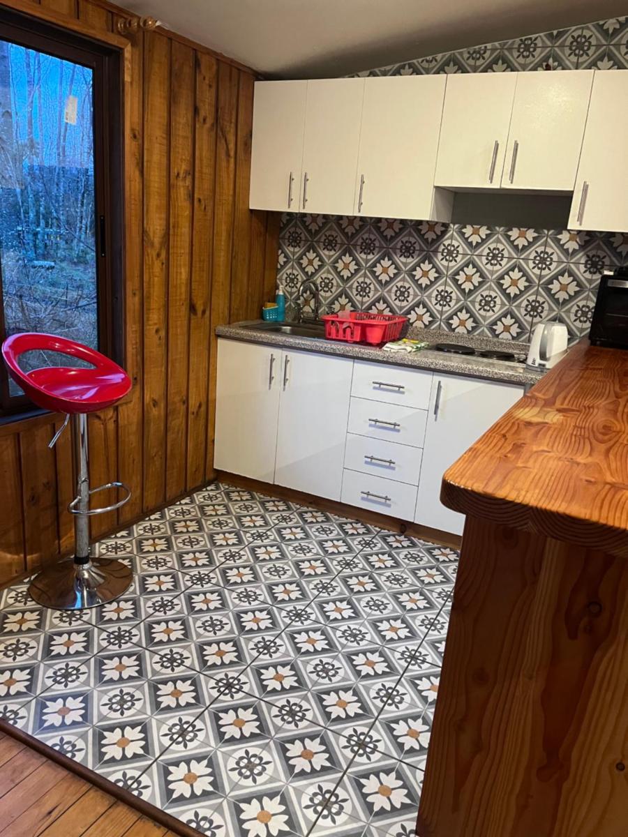 Cabañas Pucontours - Housity