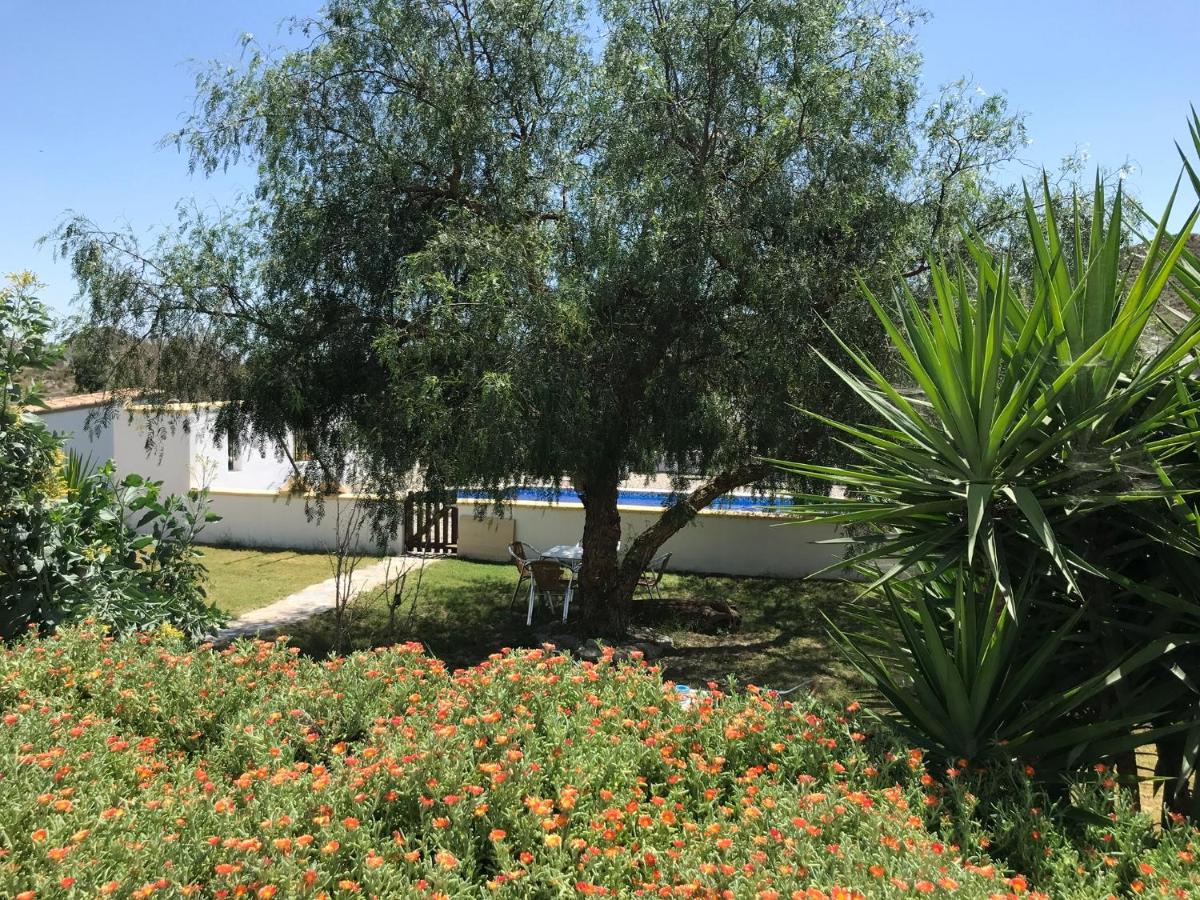 Bella Vista Rural Retreat - Housity