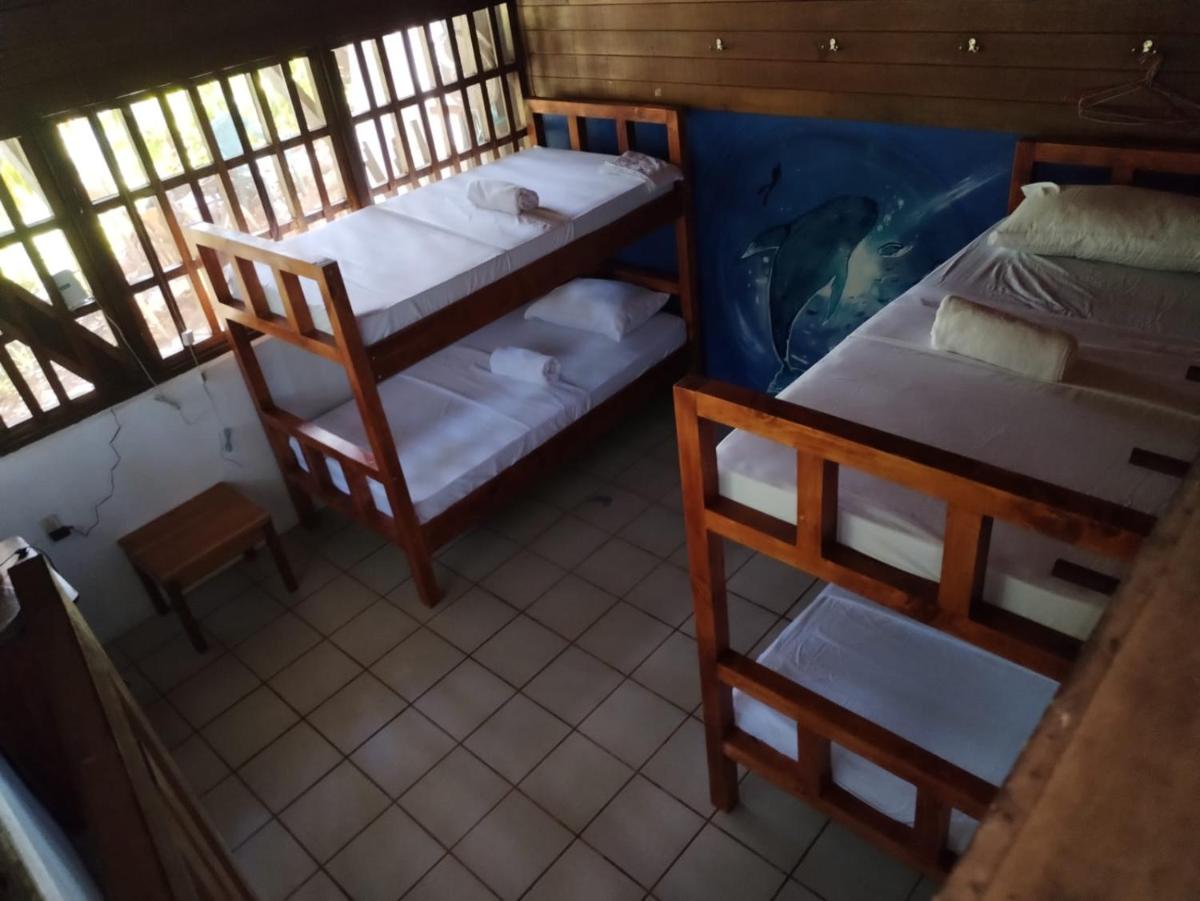 Pirate Drake Beach Camp &amp; Tour company - Housity