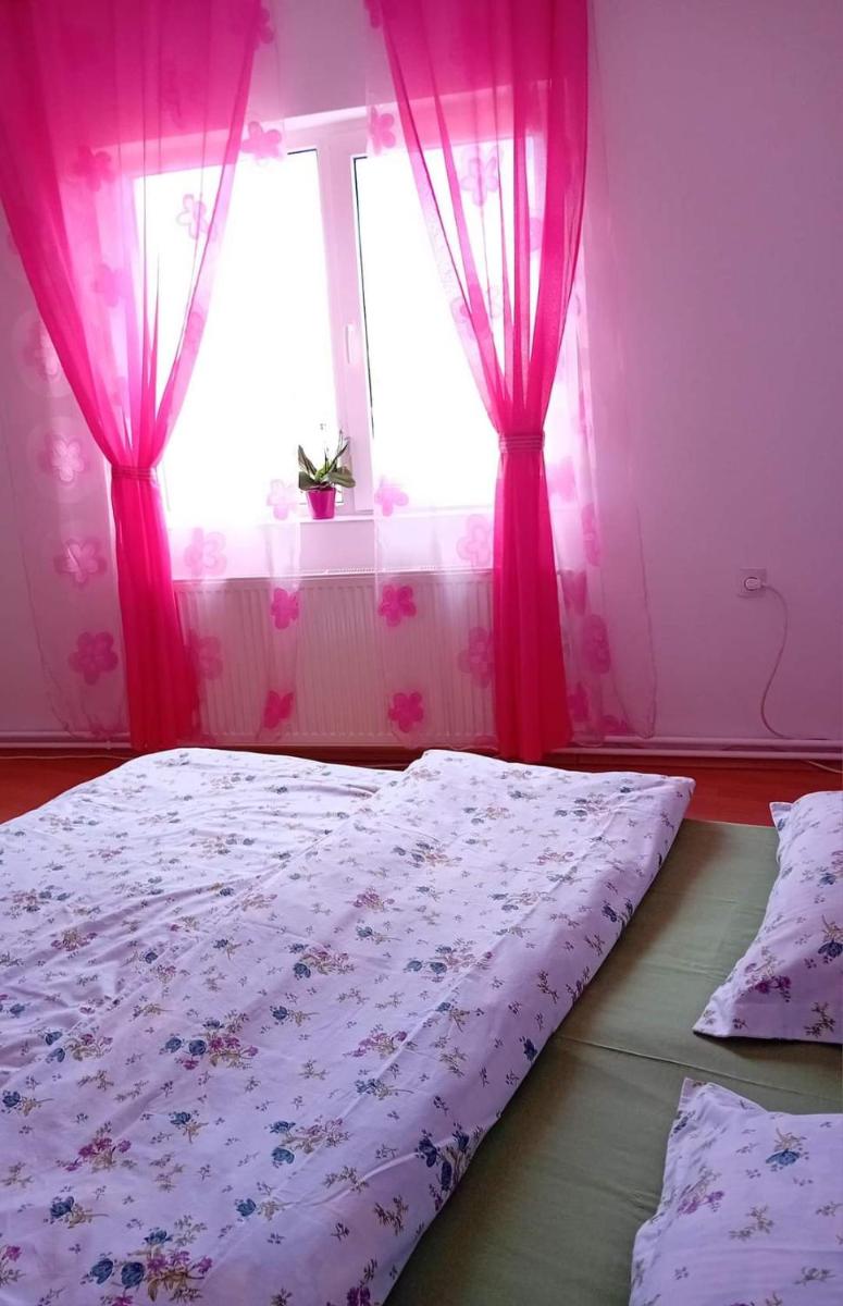 Pensiunea Casa D?nu? - Housity