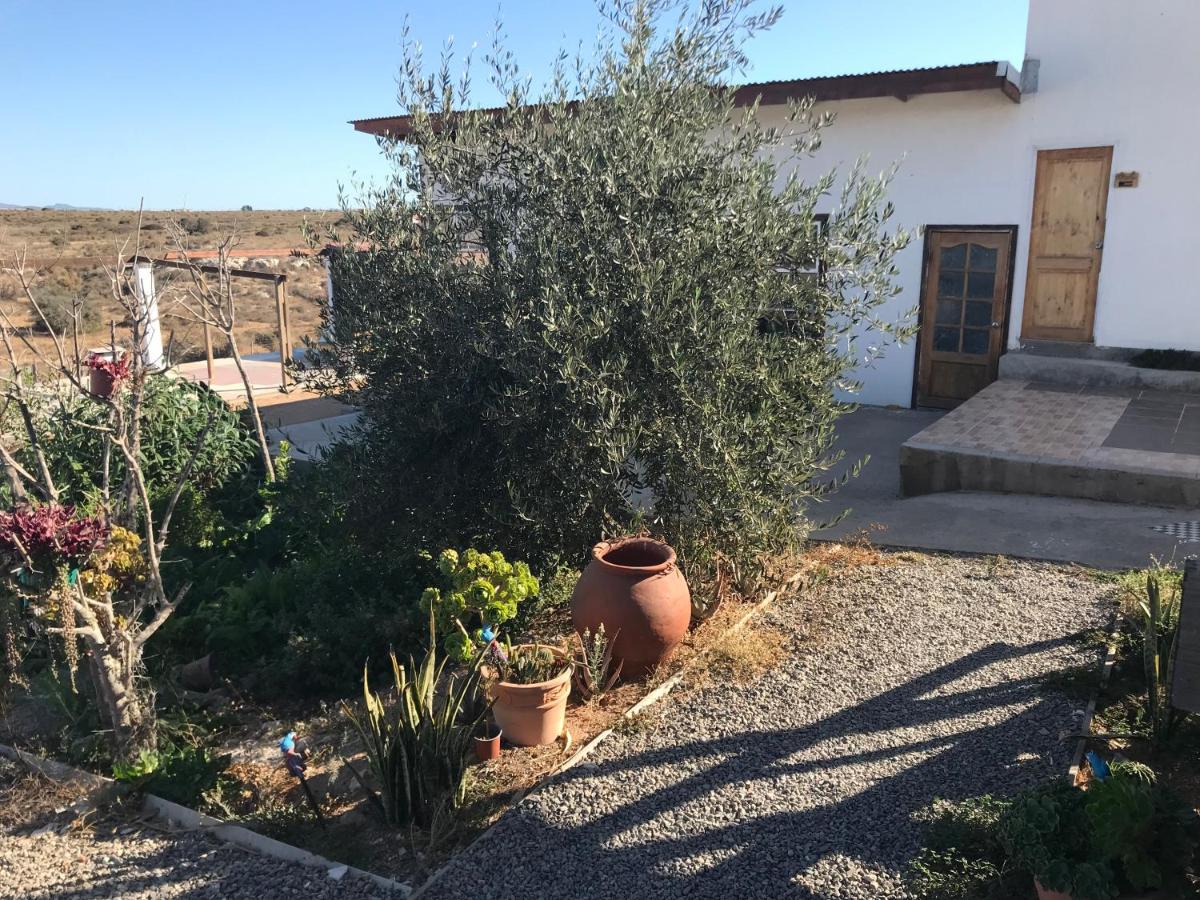 Eco Lodge Lorotuerto de Guanaqueros - Housity