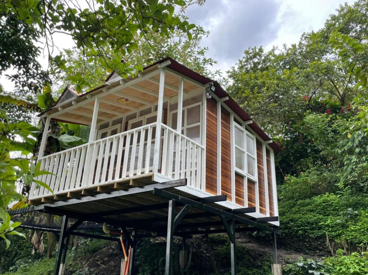 Villas del Rio Glamping - Housity