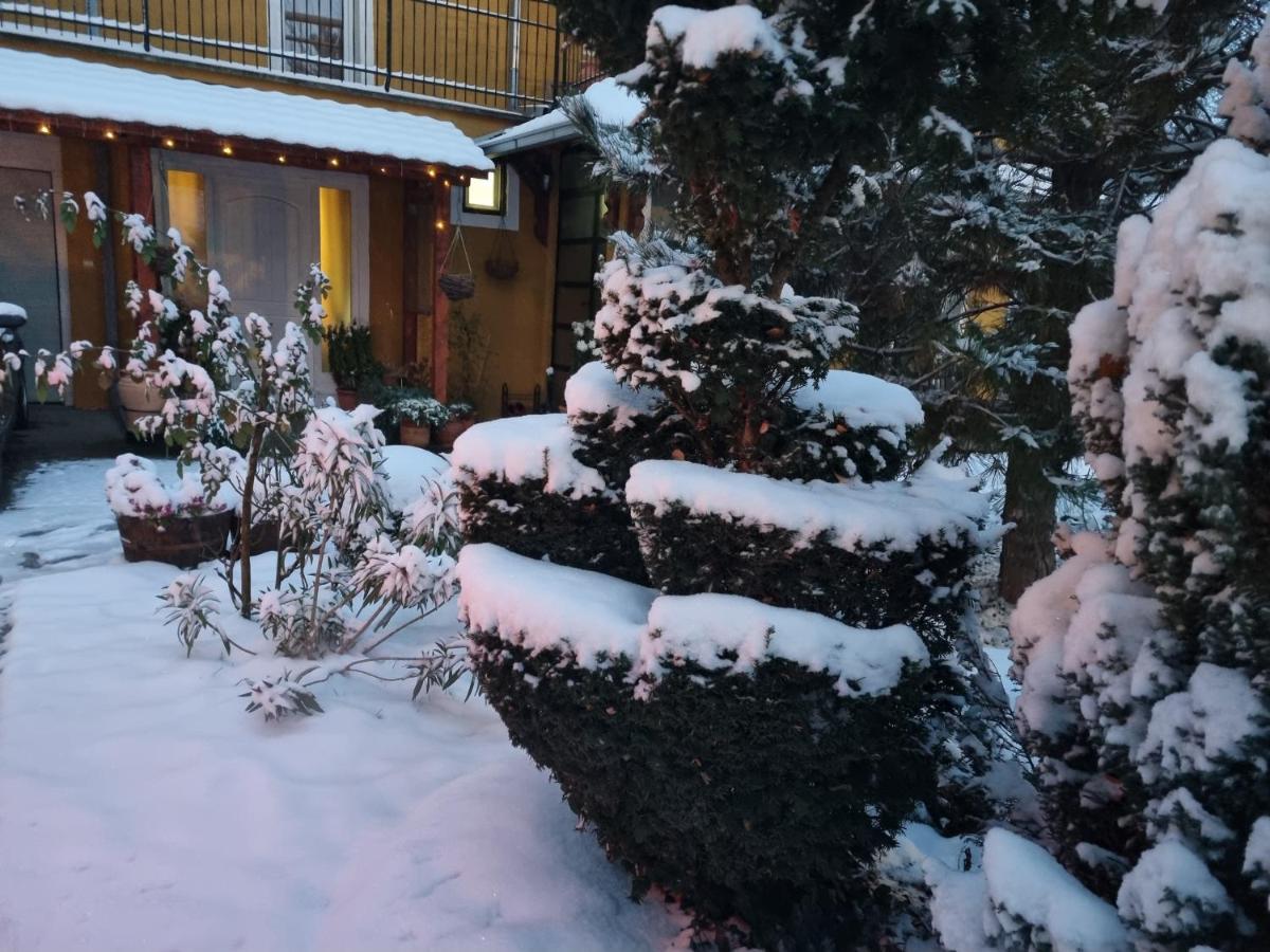 Natura Apartment - Housity