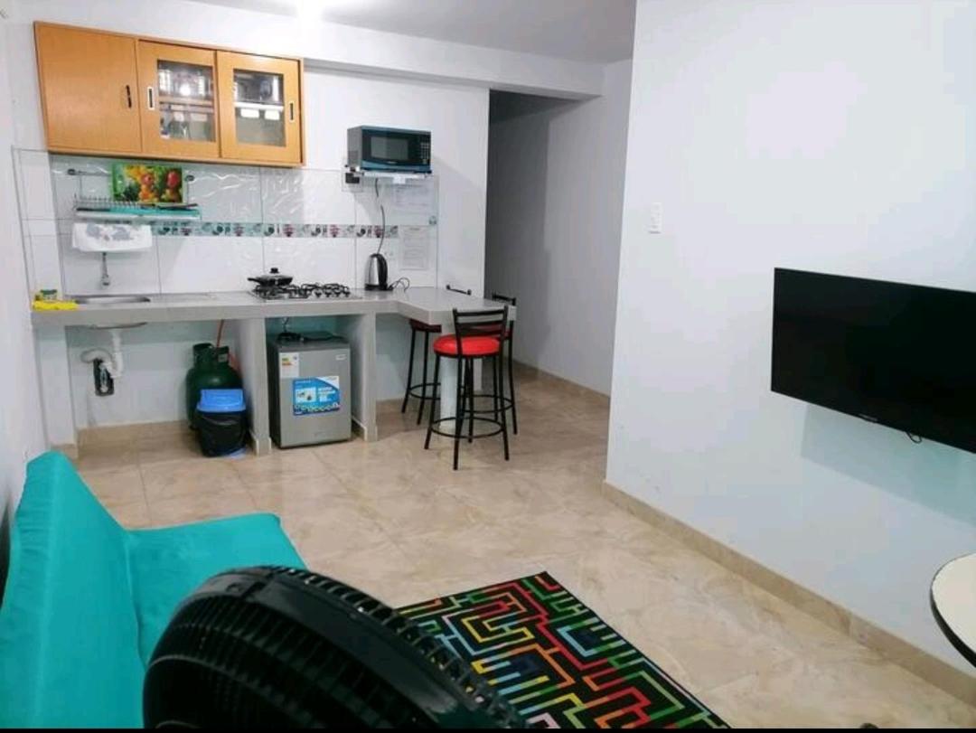 B1-Departamento Bolognesi - Housity