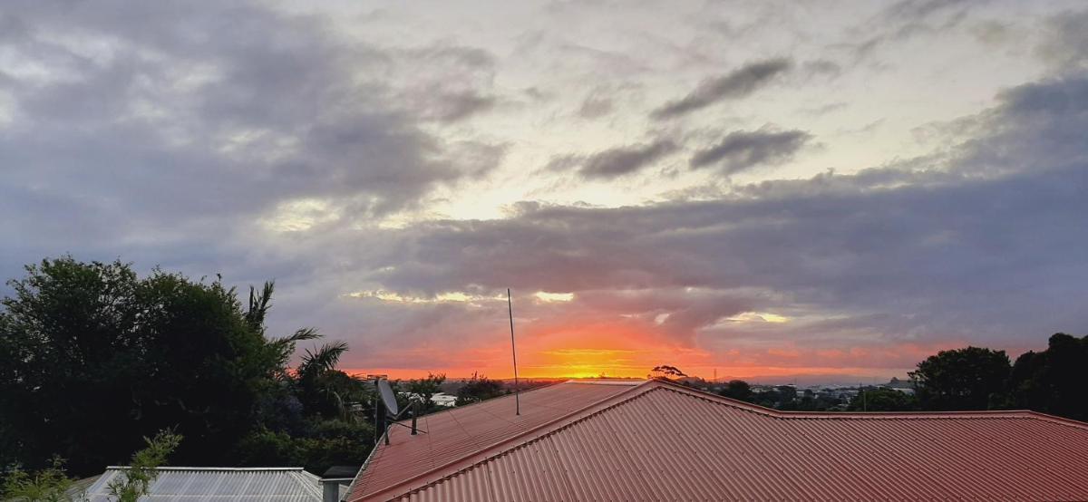 Lioness Estate and B&B - Auckland - Housity